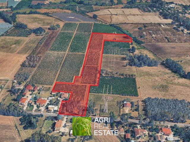 Terreno in vendita a Latina LT