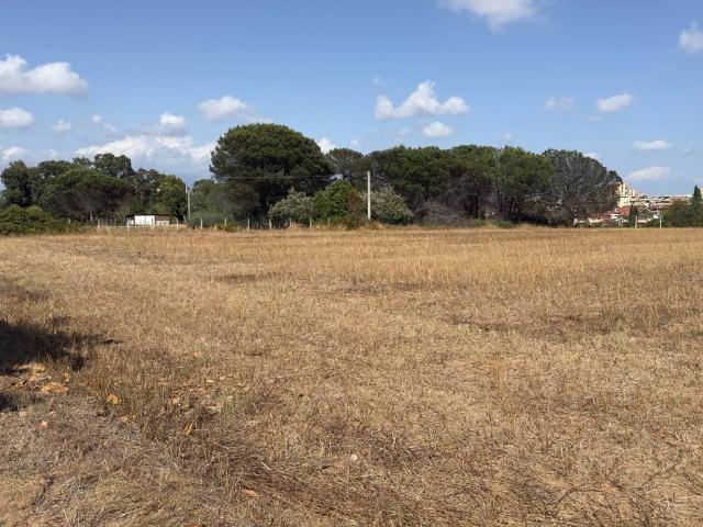 Terreno in vendita a Latina LT