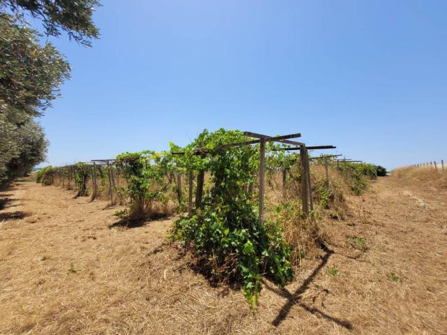 Terreno in vendita a Latina LT