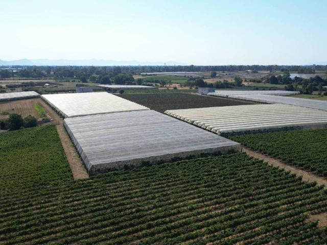Terreno in vendita a Latina LT