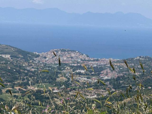 Terreno in vendita a Laureana Cilento SA