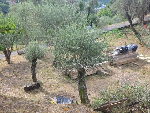 Terreno in vendita a Lavagna GE