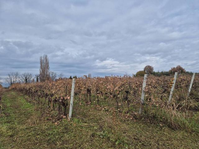 Terreno in vendita a Lazise VR