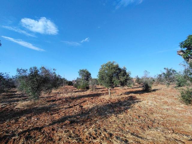 Terreno in vendita a Lecce LE