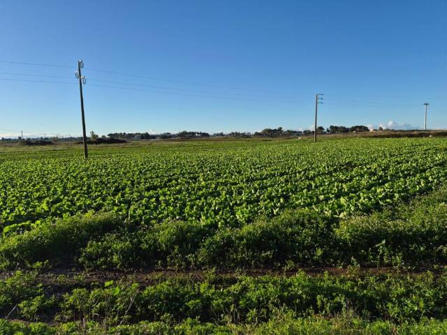 Terreno in vendita a Lecce LE