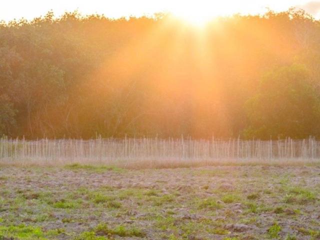 Terreno in vendita a Legnano MI