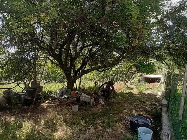 Terreno in vendita a Leivi GE