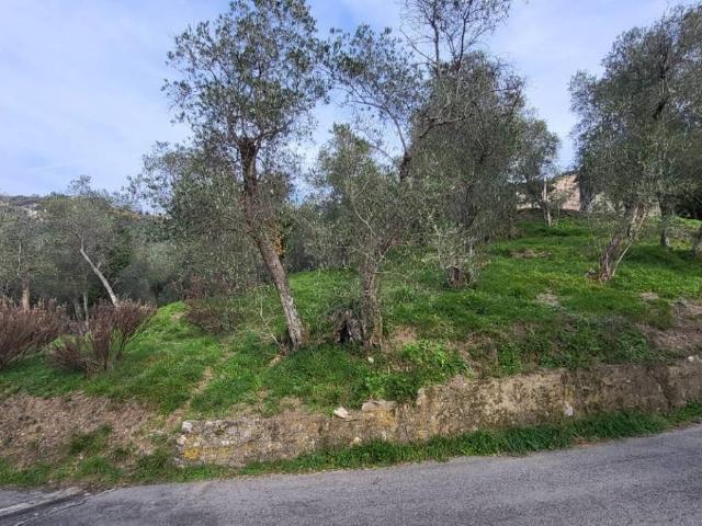 Terreno in vendita a Leivi GE