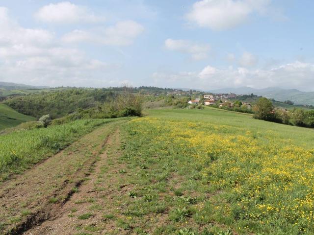 Terreno in vendita a Lesignano de' Bagni PR