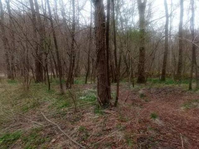 Terreno in vendita a Limana BL