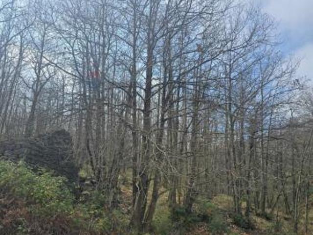 Terreno in vendita a Linguaglossa