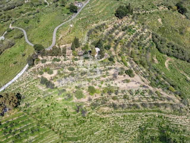 Terreno in vendita a Linguaglossa CT