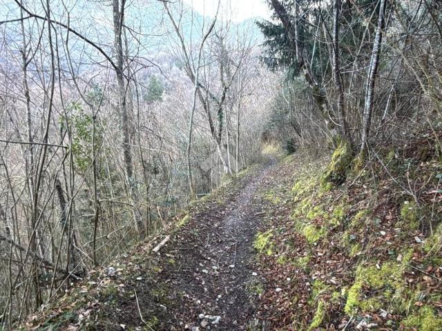 Terreno in vendita a Lierna LC