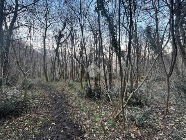 Terreno in vendita a Lierna LC