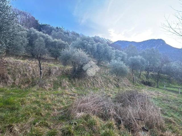 Terreno in vendita a Lierna LC