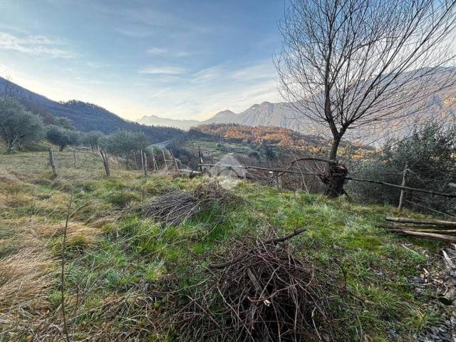 Terreno in vendita a Lierna LC