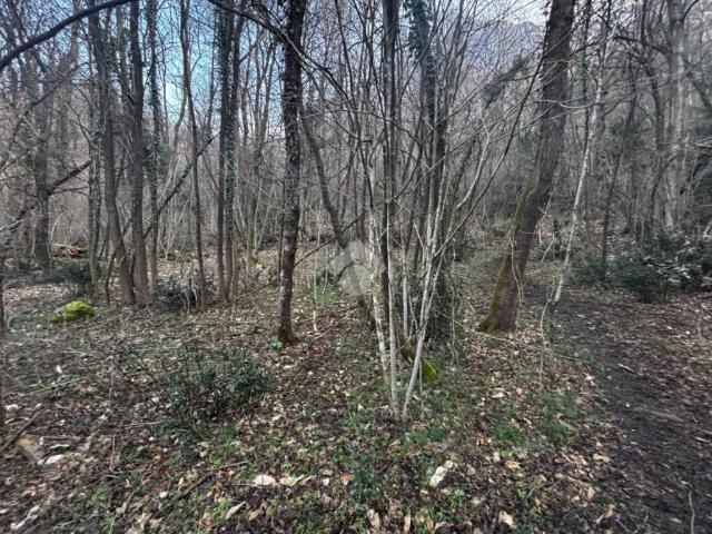 Terreno in vendita a Lierna LC