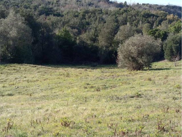 Terreno in vendita a Livorno LI