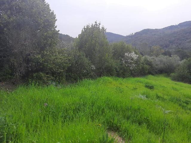 Terreno in vendita a Livorno LI