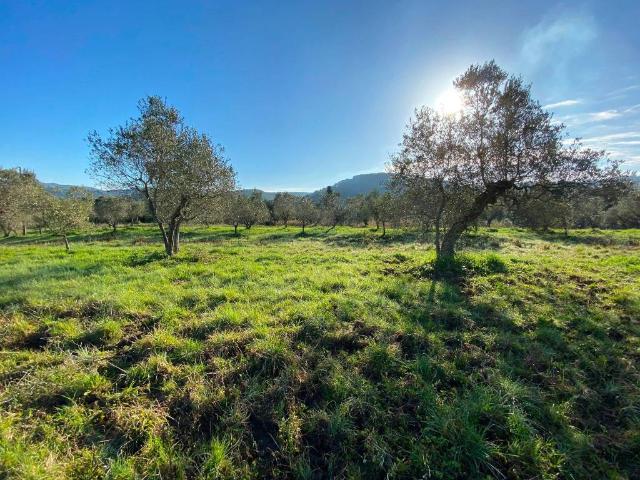 Terreno in vendita a Livorno LI