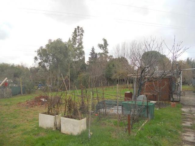 Terreno agricolo in vendita a Livorno 2000 mq Rif: 1023871