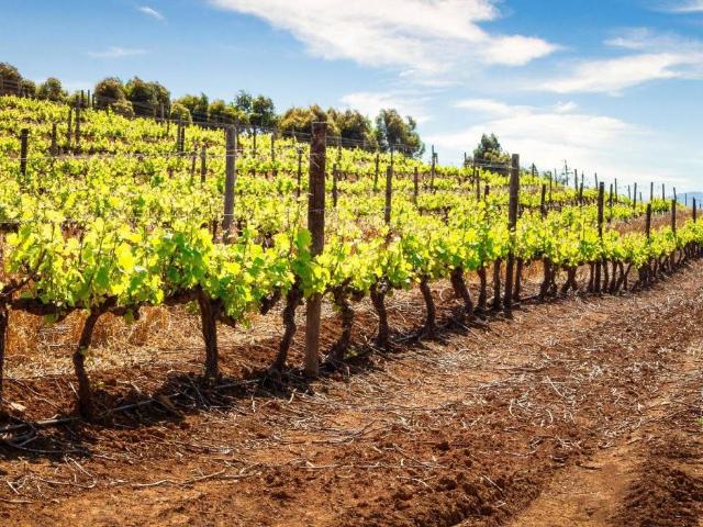 Terreno in vendita a Lonato del Garda BS
