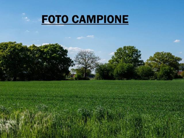 Terreno in vendita a Lonigo VI