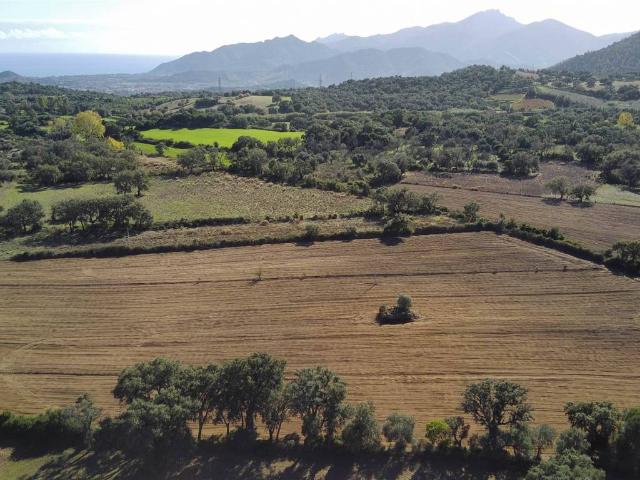Terreno in vendita a Loceri NU