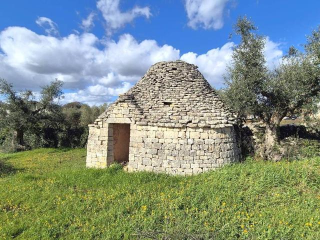 Terreno in vendita a Locorotondo BA