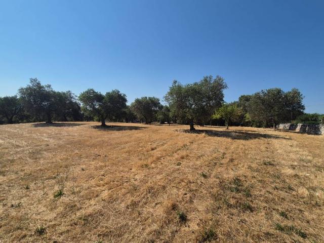 Terreno in vendita a Locorotondo BA