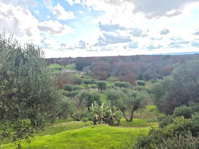 Terreno in vendita a Locorotondo BA
