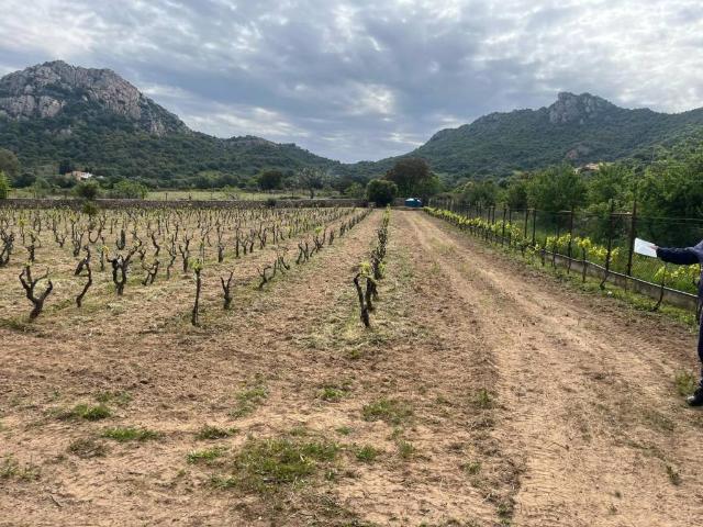 Terreno in vendita a Loiri Porto San Paolo OT