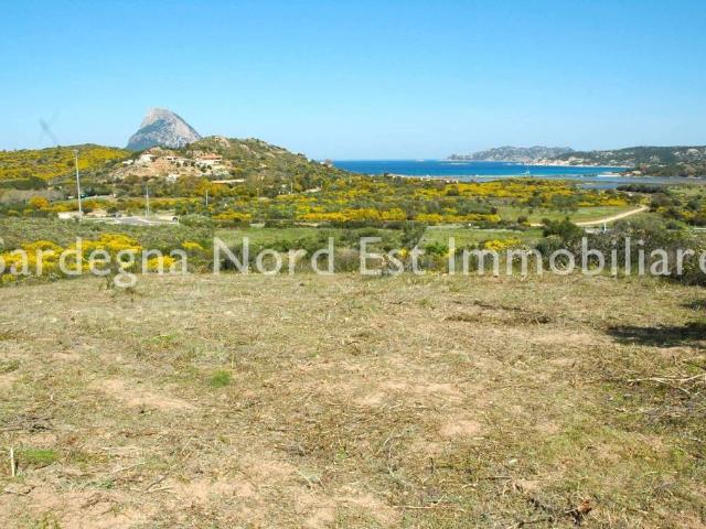 Terreno in vendita a Loiri Porto San Paolo SS