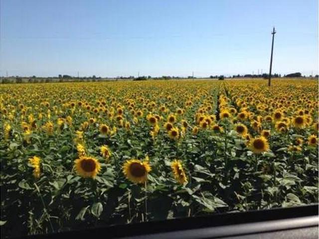 Terreno in vendita a Loreto Aprutino PE