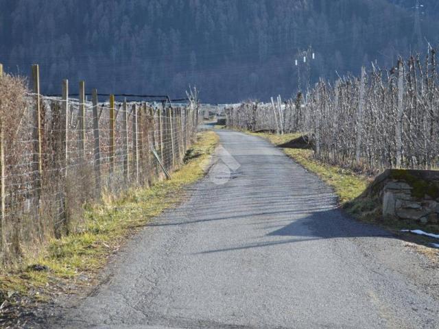 Terreno in vendita a Lovero SO
