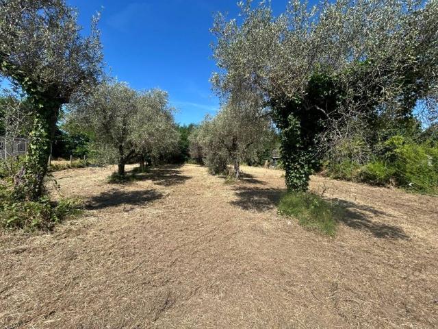 Terreno in vendita a Luni SP