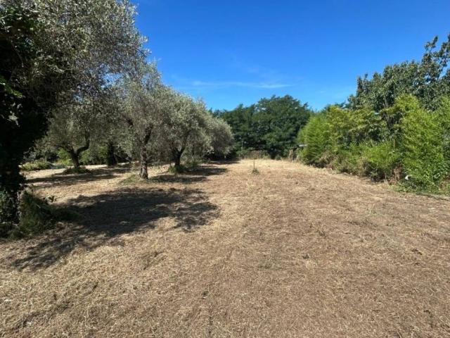 Terreno in vendita a Luni SP