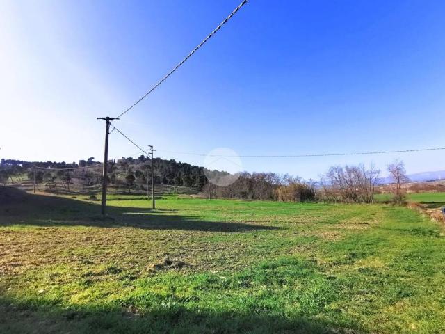 Terreno in vendita a Lucera FG