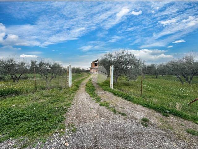 Terreno in vendita a Lucera FG