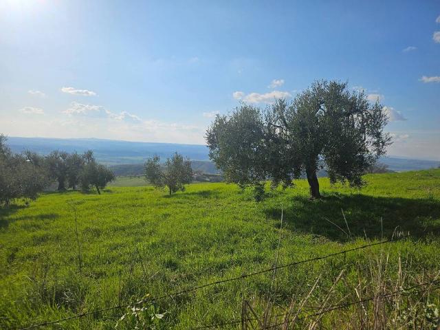 Terreno in vendita a Lugnano in Teverina TR
