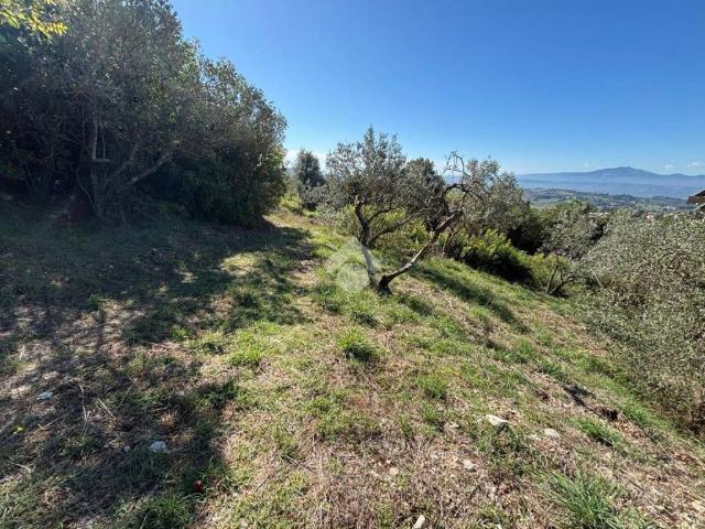 Terreno in vendita a Lugnano in Teverina TR