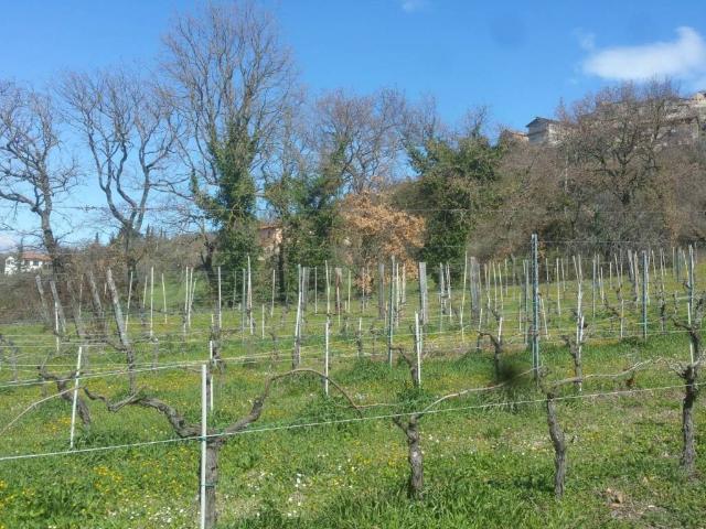 Terreno in vendita a Lugnano in Teverina TR