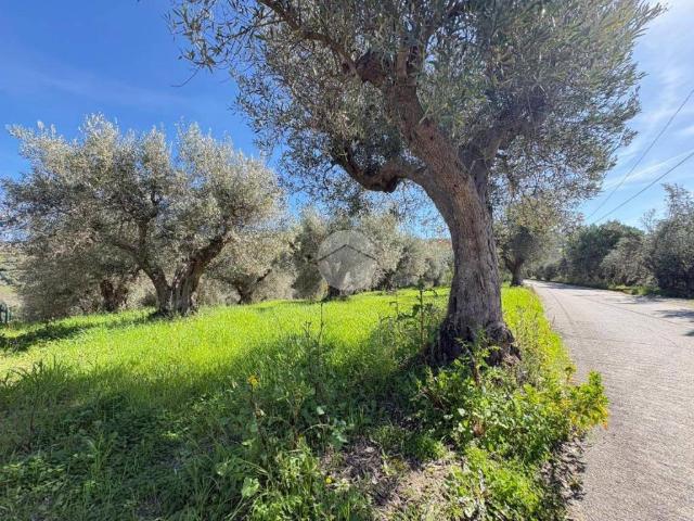 Terreno in vendita a Luzzi CS