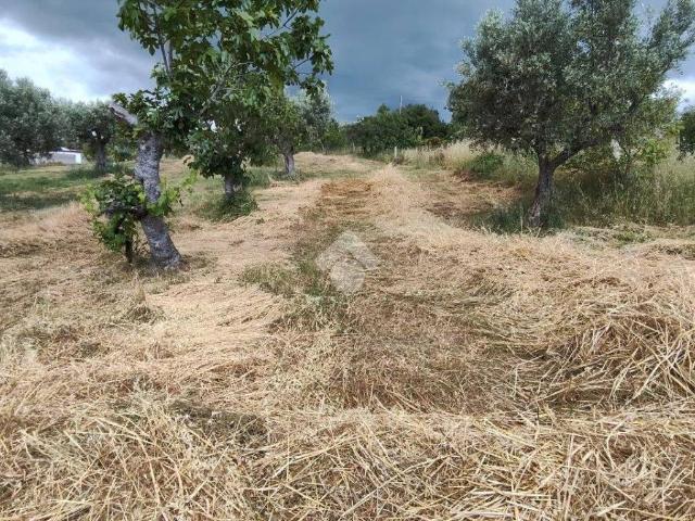 Terreno in vendita a Luzzi CS