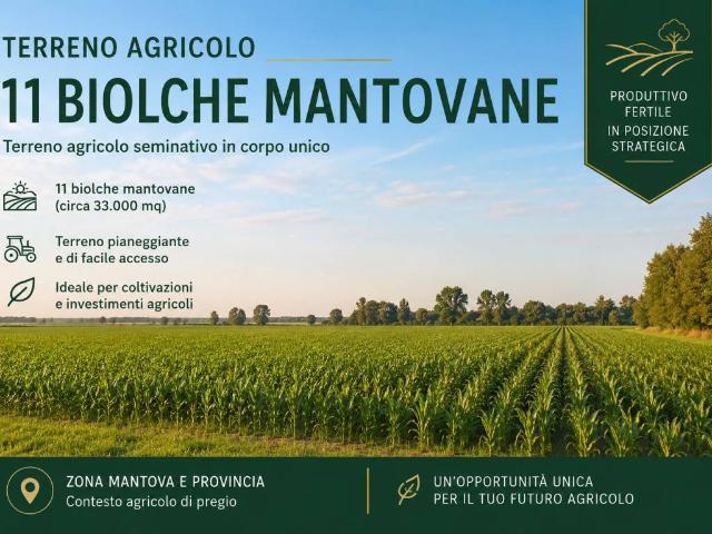 Terreno in vendita a Mantova MN