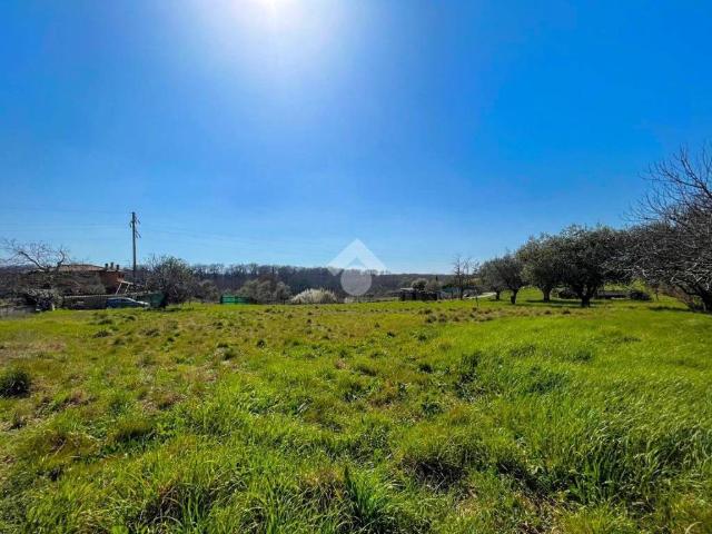 Terreno in vendita a Manziana RM