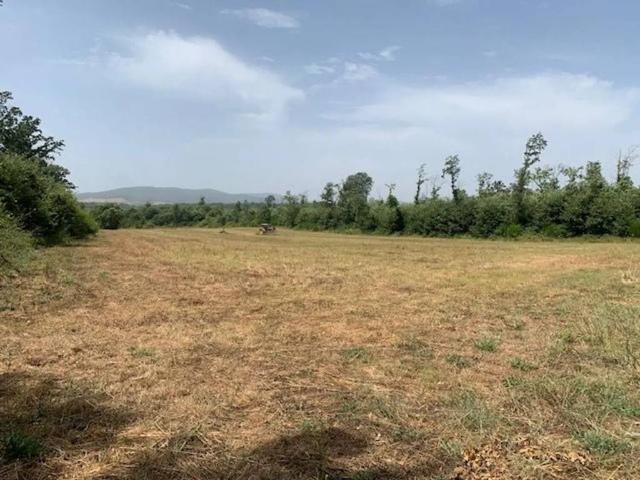 Terreno in vendita a Manziana RM