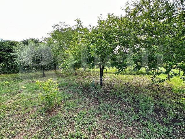 Terreno in vendita a Manziana RM