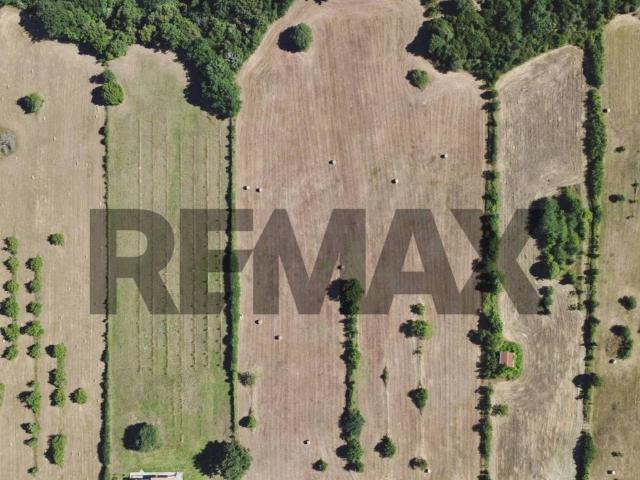 Terreno in vendita a Manziana RM