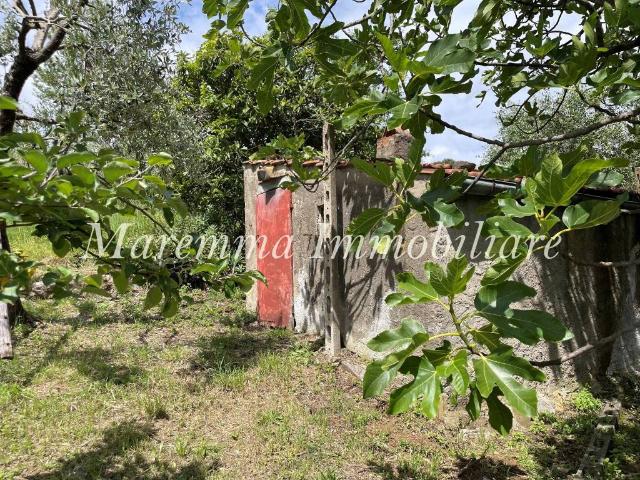 Terreno in vendita a Manciano GR